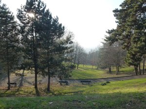 Scenic view of Parc de la Cerisaie in Lyon featuring green trees and walking paths