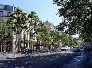 Boulevard de la Madeleine with trees and outdoor cafes in Paris