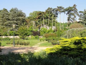 A wide view of the lush greenery and pathways in Parc de la Tête d'Or in Lyon