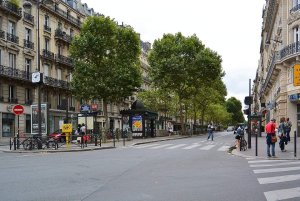 Boulevard Raspail street with trees and buildings in Paris