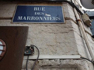 Street name plaque reading Rue des Marronniers in Lyon 2nd arrondissement