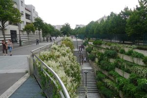 Tree-lined elevated urban walkway with benches and pedestrians in Paris