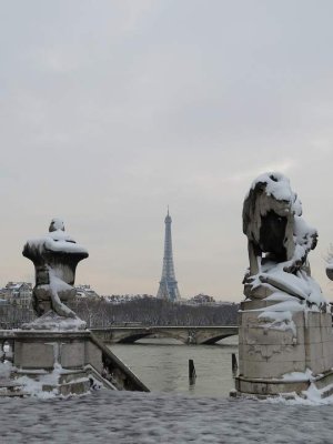 Eiffel Tower surrounded by Paris cityscape covered in winter