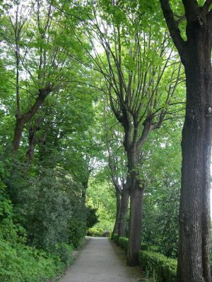 Pathway lined with trees and blooming flowers in Parc des Hauteurs, Lyon