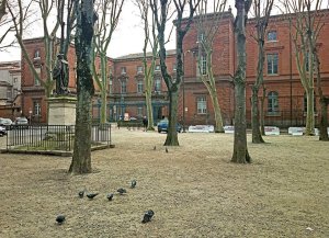 facade of the Court of Appeal in Toulouse with the Jacques Cujas statue at Place du Salin
