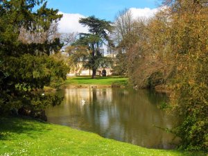 Calm lake surrounded by trees and parkland at Parc Hamelin Oberthür in Rennes