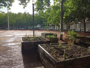 Urban square with benches and trees at Place Jean-Jaurès