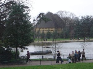 Lush green trees and vegetation with a natural pathway in Bois de Vincennes park