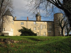 Exterior view of Château de La Motte castle in Lyon, Rhône