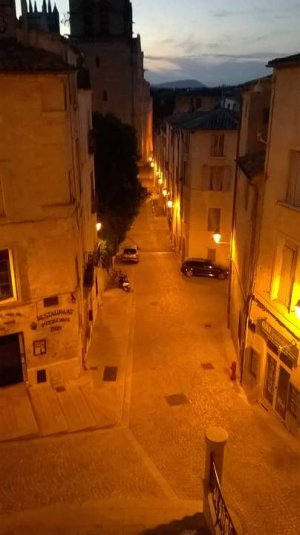 montpellier cathedral illuminated at night with city lights