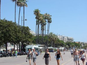 sandy beach with umbrellas and calm sea at Croisette promenade Cannes