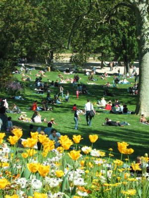 Parc des Buttes Chaumont with blooming tulips in Paris