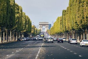 Broad avenue lined with trees and historic buildings in Paris