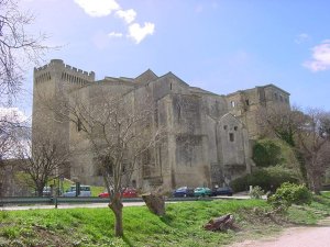 General view of Montmajour Abbey in Bouches-du-Rhône, France