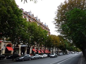 Tree-lined avenue in front of the Plaza Athénée hotel on Avenue Montaigne facing Rond-Point des Champs Élysées in Paris