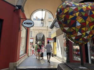 Covered shopping arcade with glass roof and shops lining both sides in Passage de l'Argue, Lyon