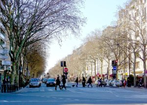 Wide boulevard du Montparnasse street scene in Paris