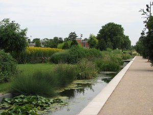 Dense growth of megaphorbiaie plants in Parc de Gerland, Lyon