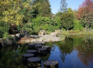 Serene Japanese garden with traditional landscaping on Île de Versailles in Nantes
