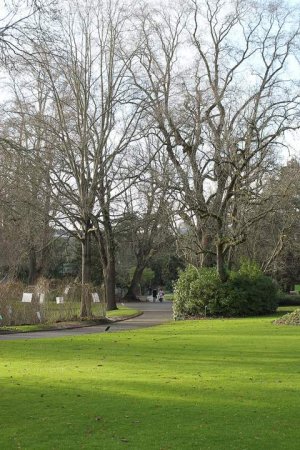 Winter landscape of Jardin des Plantes de Nantes with trees and pathways covered in frost