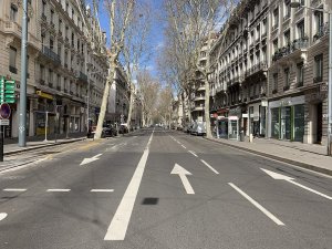Wide avenue lined with trees and buildings in Lyon