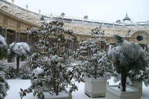 Snow-covered plants in the inner garden of Petit Palais