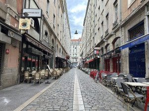 Street view of Rue des Marronniers in Lyon with buildings and urban elements