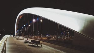 Pont Raymond-Barre illuminated at night over the river in Lyon, France