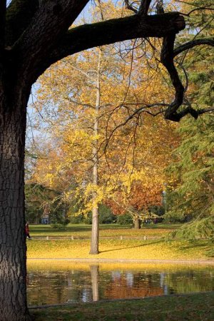Lush green landscape with trees and a lake at Parc Bordelais in Bordeaux