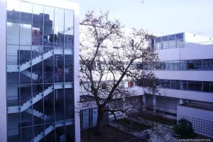 Courtyard of ENSAAMA art school with people attending open days