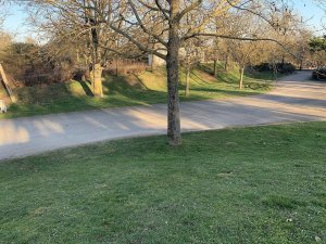 Winter view of Parc de la Toison d'Or in Dijon with trees and pathways