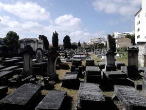 View towards the back of the Portuguese Jewish cemetery in Bordeaux with numerous gravestones