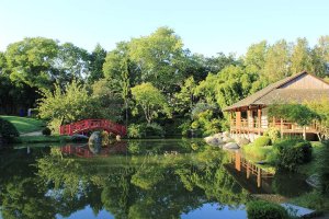 Lake and traditional tea pavilion in the Japanese garden of Toulouse