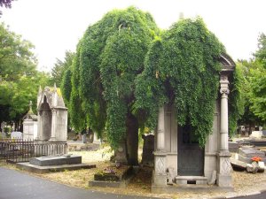 View of the Northern Cemetery in Reims, France, showing gravestones and trees