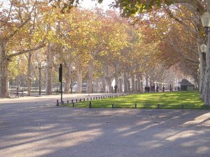 Northern view of Esplanade Charles-de-Gaulle near Ecusson district in Montpellier