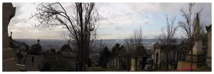 Panoramic view of the main avenue at Cimetière Monumental de Rouen with symmetrical trees and pathway