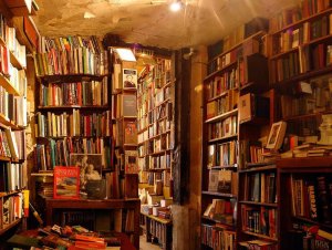 cozy interior view of Shakespeare and Company bookshop with shelves of books
