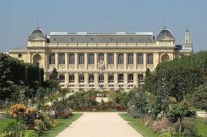 Perspective view of the Grande Galerie de l'Évolution and Jardin des Plantes in Paris