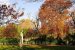 Jardin du Luxembourg