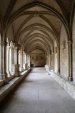 Saint-Trophime cloister