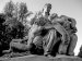 Monument aux morts