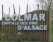 Alsace Wine Fair